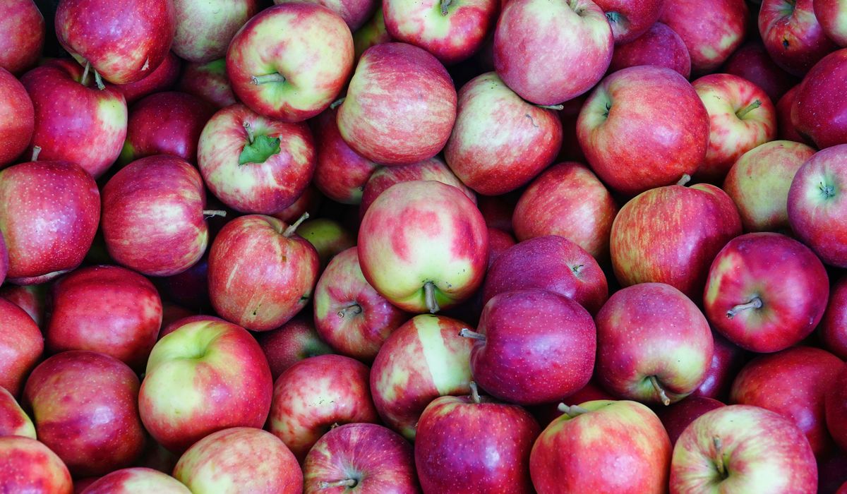 Making Traditional Apple Chutney at Home