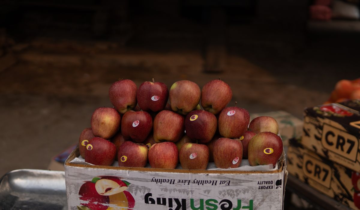 Planning and Planting a Small Community Orchard