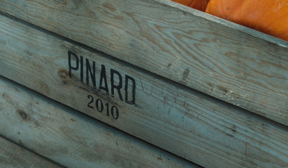 Preserving Apples Through Drying and Freezing